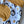 Load image into Gallery viewer, Pantalon évolutif bébé et enfant Lions Les Fantaisies de Malou
