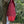 Load image into Gallery viewer, Sac à dos enfant maternelle Bordeau Les Fantaisies de Malou
