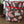 Load image into Gallery viewer, Grande pochette imperméable Havane Les Fantaisies de Malou
